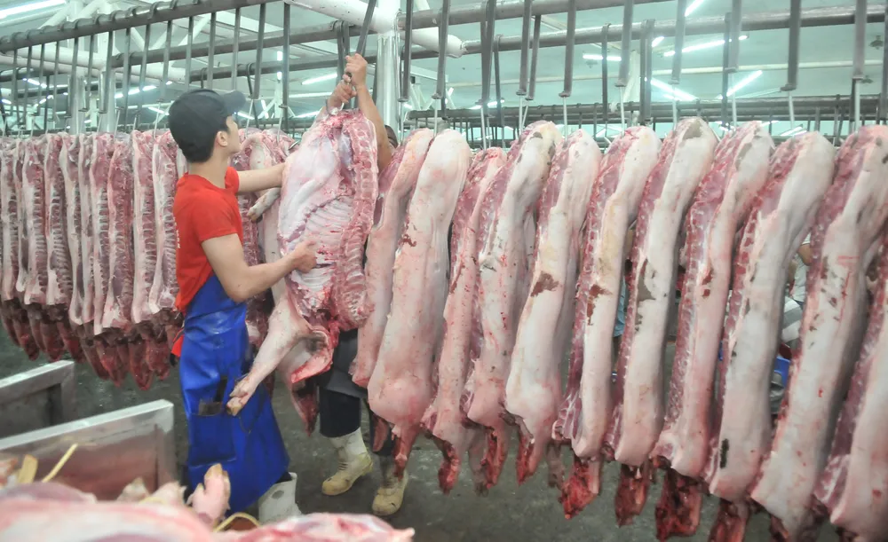       Thịt heo bán tại chợ đầu mối Hóc Môn     . Ảnh: CAO THĂNG