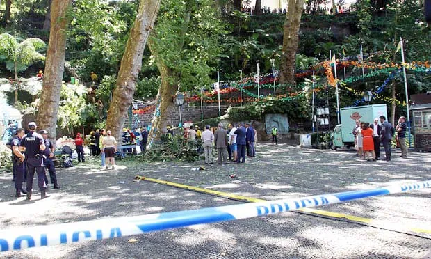 Cây sồi cổ thụ đổ làm hàng chục người thương vong ở Bồ Đào Nha ảnh 1