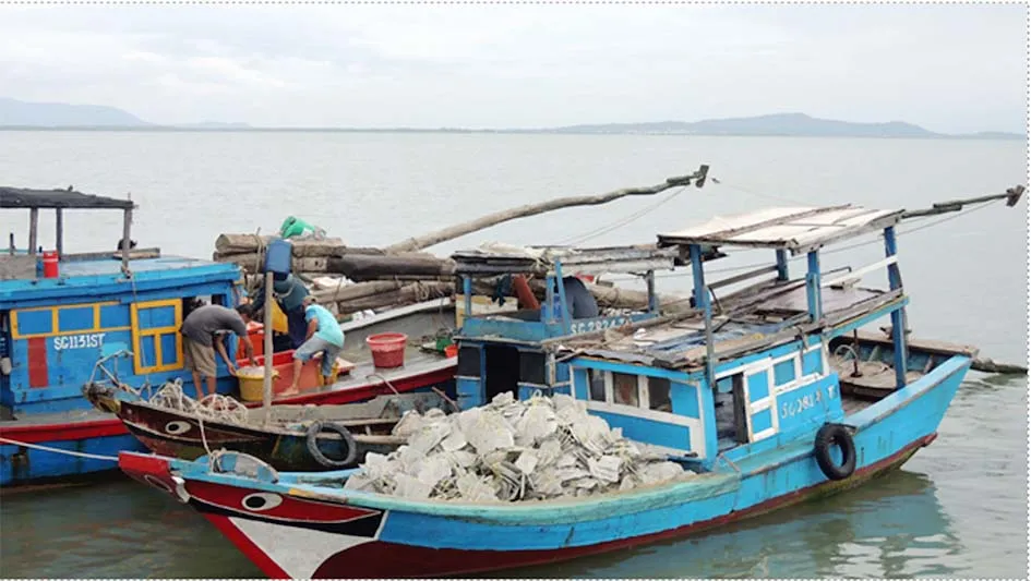 Nuôi hàu giúp dân xã đảo giảm nghèo  ảnh 1