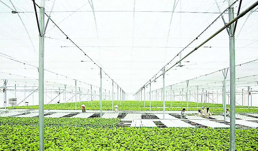 Chỉ trong vòng 24 tháng, VinEco đã xây dựng và phát triển thành công 14 nông trường quy mô và chuyên nghiệp trên cả nước