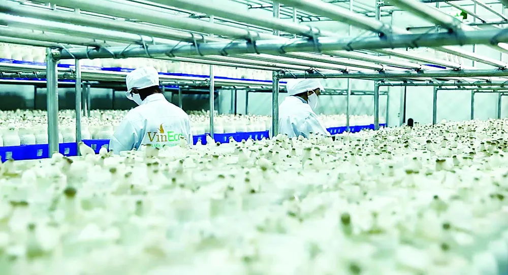 2 năm “Hành trình sạch - Tương lai xanh” của VinEco ảnh 1