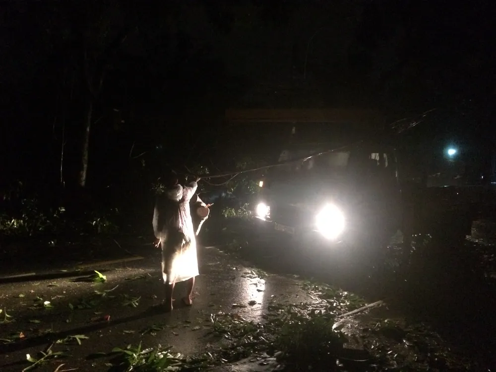 Mưa lớn, hàng loạt cây xanh bật gốc ngã đè nhà dân ở TPHCM ảnh 6