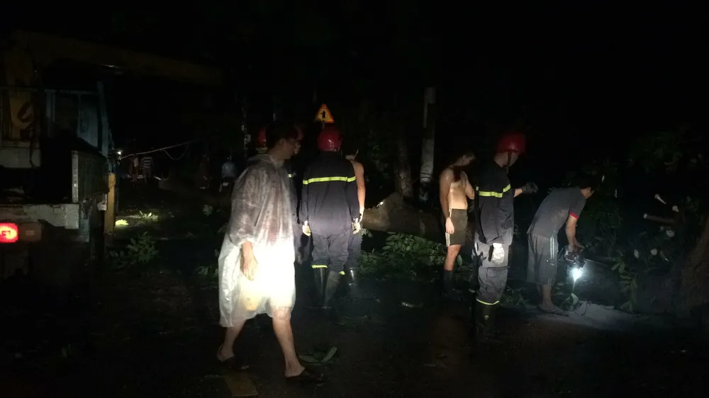 Mưa lớn, hàng loạt cây xanh bật gốc ngã đè nhà dân ở TPHCM ảnh 7