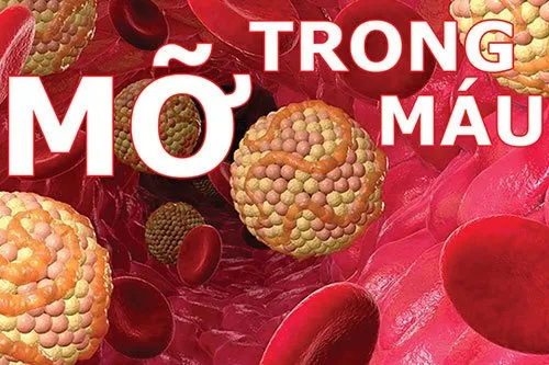 Một số bệnh thường gặp ở người cao tuổi và biện pháp phòng bệnh ảnh 2