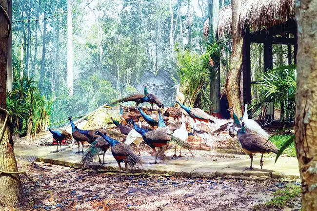 Phú Quốc - Hòn ngọc được mài giũa ảnh 1