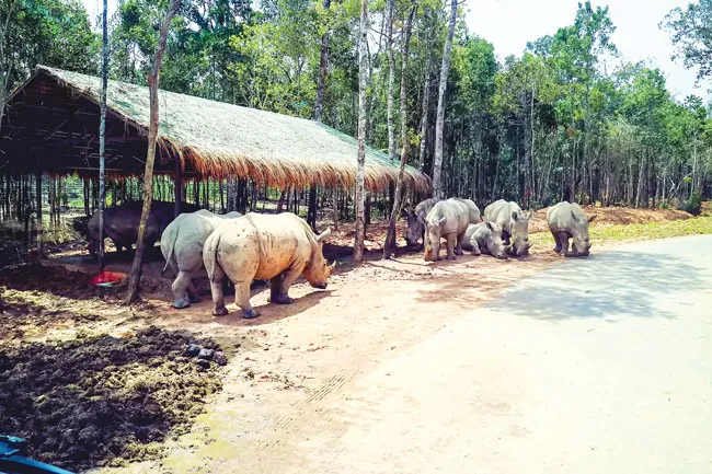 Phú Quốc - Hòn ngọc được mài giũa ảnh 8