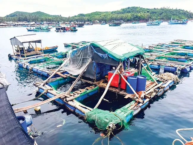 Phú Quốc - Hòn ngọc được mài giũa ảnh 6