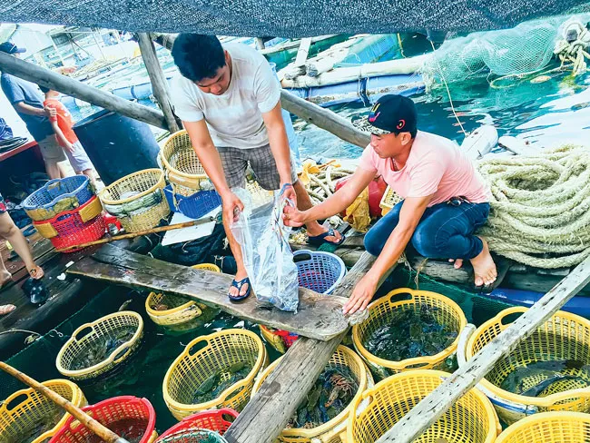 Phú Quốc - Hòn ngọc được mài giũa ảnh 9