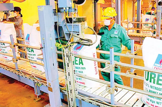 DPM tự tìm lối thoát ảnh 1