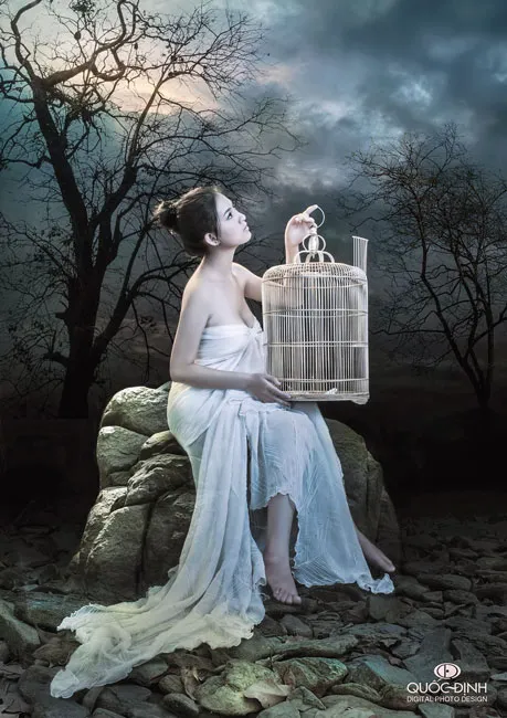 Khát khao “chim sổ lồng” ảnh 3