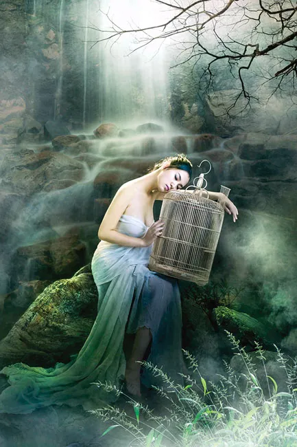 Khát khao “chim sổ lồng” ảnh 2