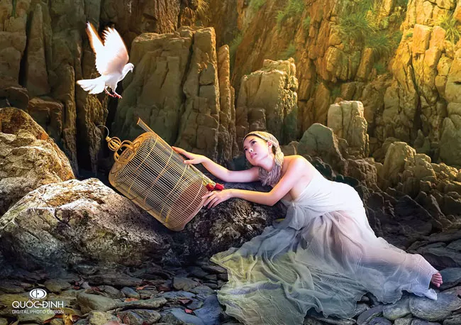 Khát khao “chim sổ lồng” ảnh 1