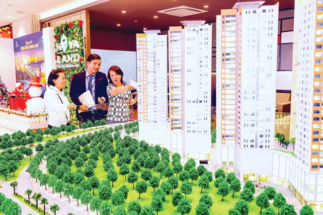 CP BĐS thời “gạn đục khơi trong” ảnh 1