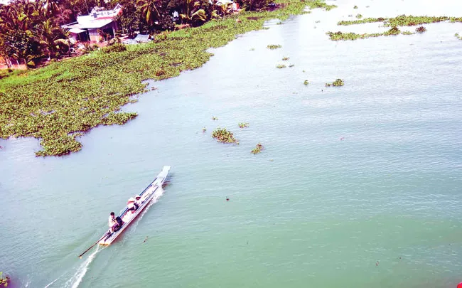 Xuôi ngược đời vỏ lãi ảnh 1