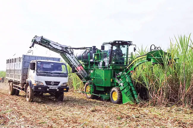 Sớm bỏ chiếc “phao” bảo hộ cho đường ảnh 1