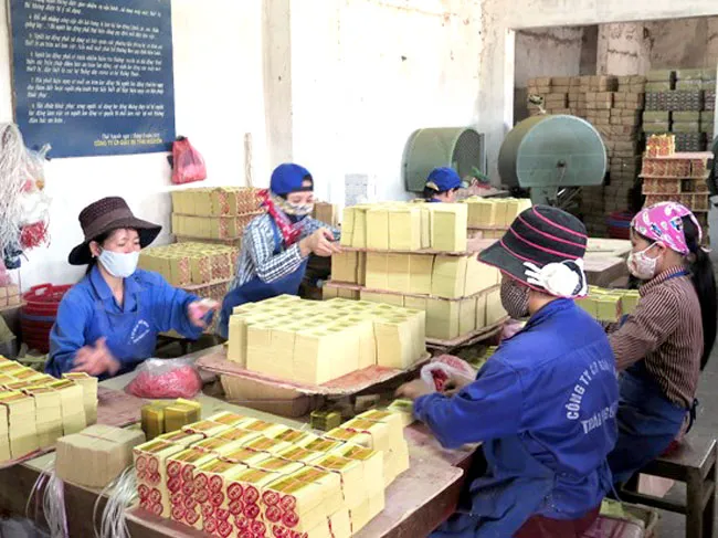 Doanh nghiệp tăng, chất lượng giảm ảnh 1