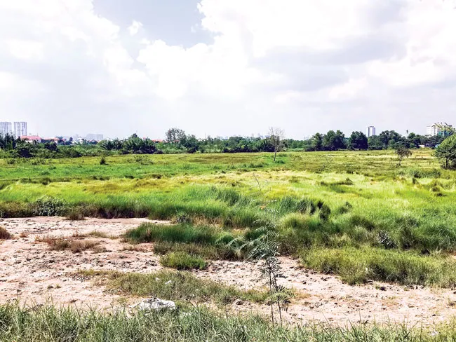 Mở hướng cho quy hoạch treo ảnh 1