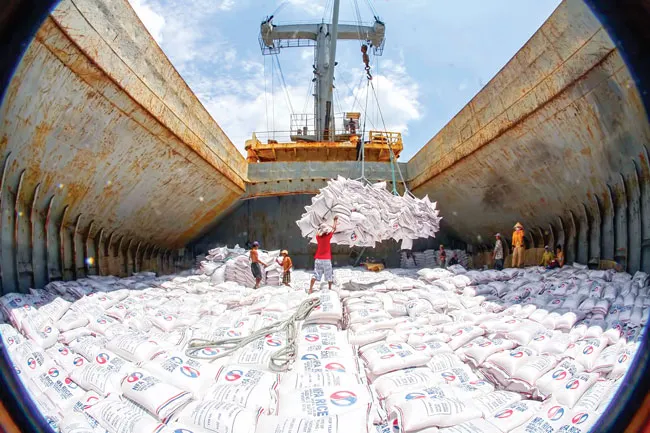 Kinh doanh xuất khẩu gạo vẫn còn rào cản ảnh 1