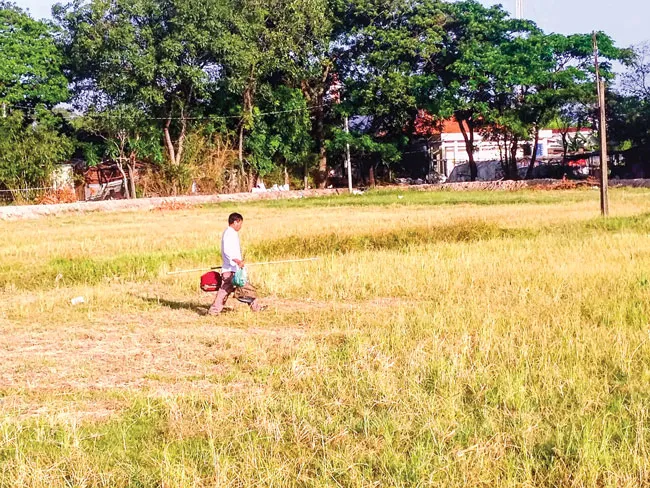 Gác cu vùng ngoại ô ảnh 1