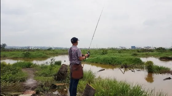 Hấp dẫn câu rê cá lóc vùng ven thành phố ảnh 4
