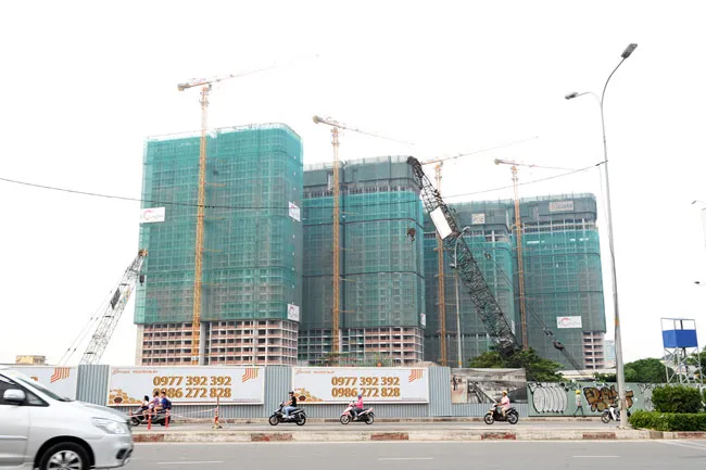 Luật Đất đai còn bất cập với thực tiễn ảnh 1