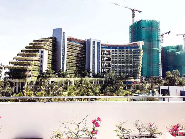 Forest City - Thánh địa nghỉ dưỡng ảnh 1