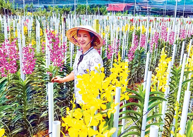 Thiếu tiêu chí, khó cho vay ảnh 1