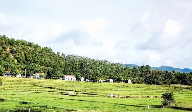 Hoang sơ xã đảo Minh Châu & Quan Lạn ảnh 3