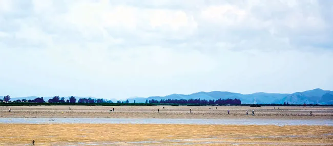 Hoang sơ xã đảo Minh Châu & Quan Lạn ảnh 5