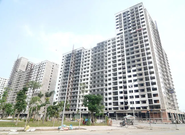 Thị trường vào giai đoạn thanh lọc cao ảnh 1