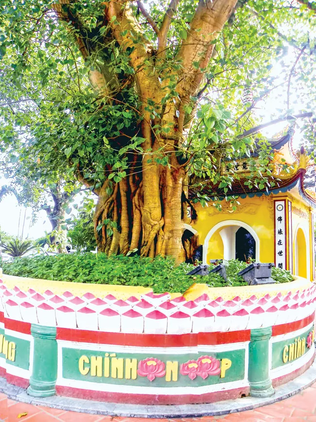 Vườn tháp bên Hồ Tây ảnh 1