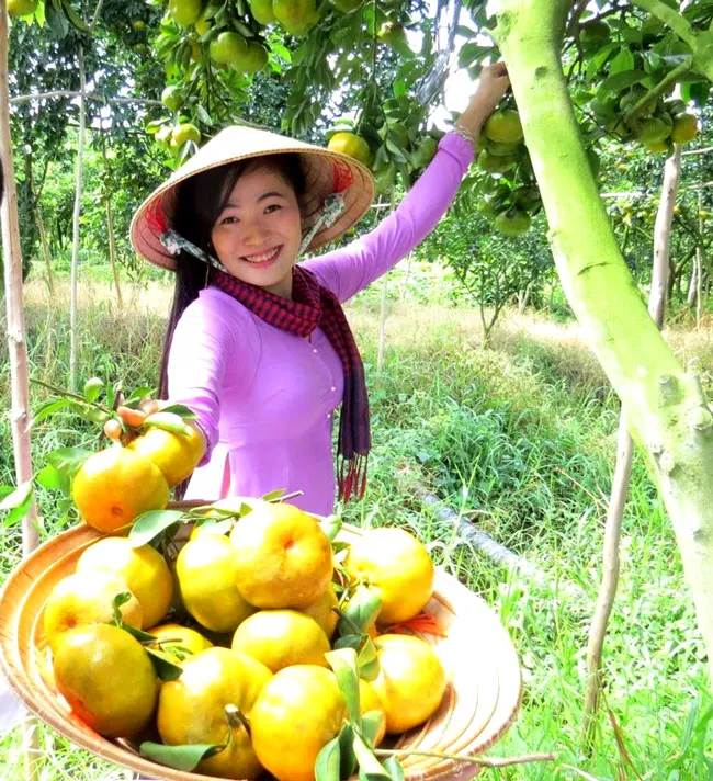 Thay đổi tư duy phát triển ĐBSCL ảnh 3