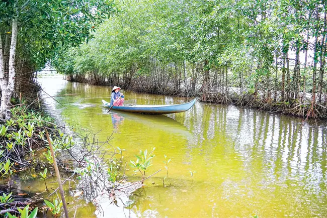 Cá thòi lòi - Dị hợm, kỳ lạ ảnh 1