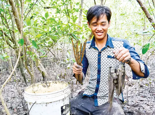 Cá thòi lòi - Dị hợm, kỳ lạ ảnh 2