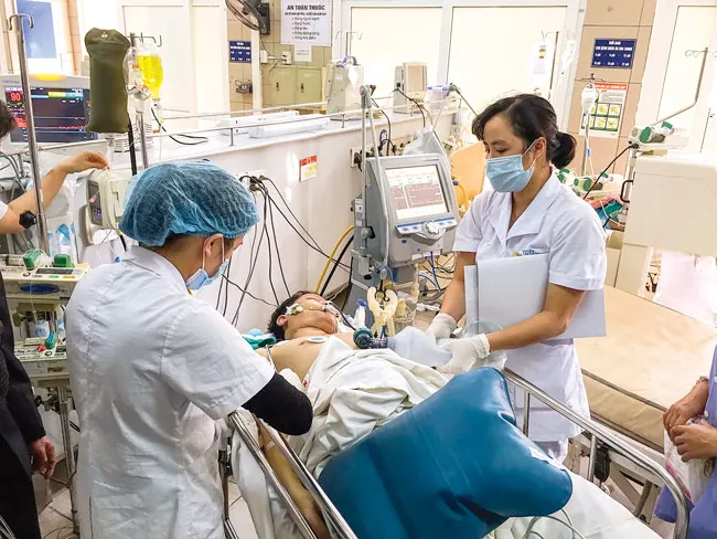 Mê cung rượu độc ảnh 2