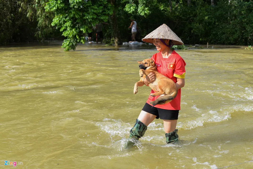 Ngoài ngan vịt, các loại vật nuôi khác đều được đưa đi sơ tán. Cuoc song dao lon vi nuoc lu tran vao nha hinh anh 3