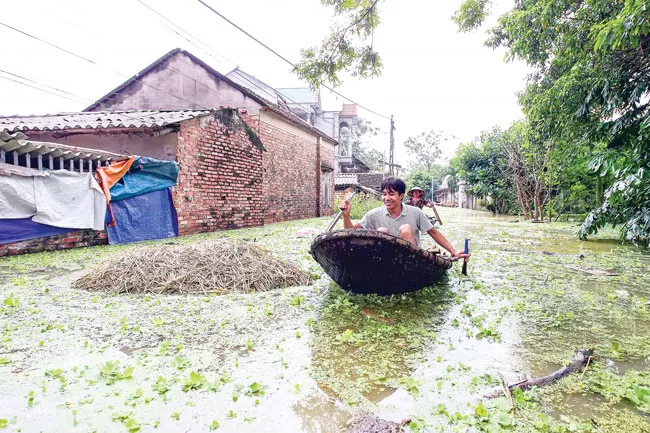 Lũ dữ hoành hành ảnh 2