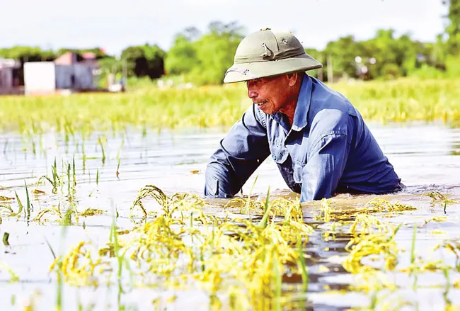 Lũ dữ hoành hành ảnh 5