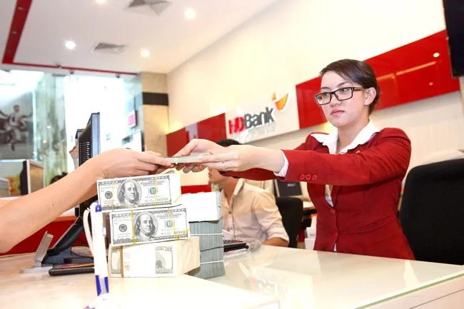 Cần tiếp tục cho vay ngoại tệ ảnh 1