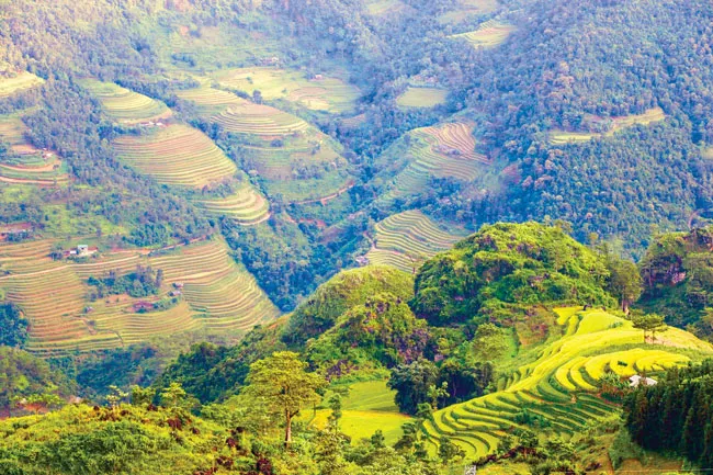 Hoang sơ, thơ mộng Hoàng Su Phì ảnh 9