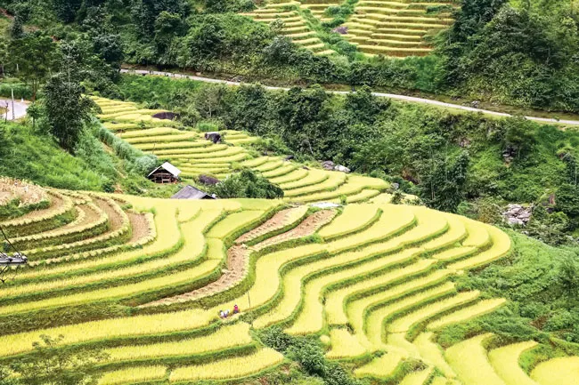 Hoang sơ, thơ mộng Hoàng Su Phì ảnh 10