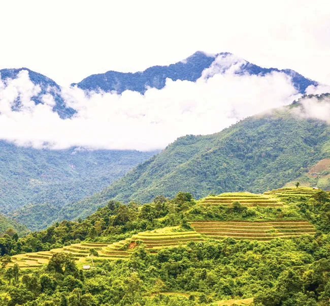 Hoang sơ, thơ mộng Hoàng Su Phì ảnh 8