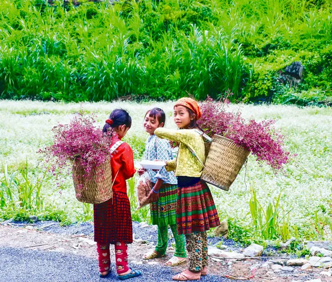 Hoang sơ, thơ mộng Hoàng Su Phì ảnh 5