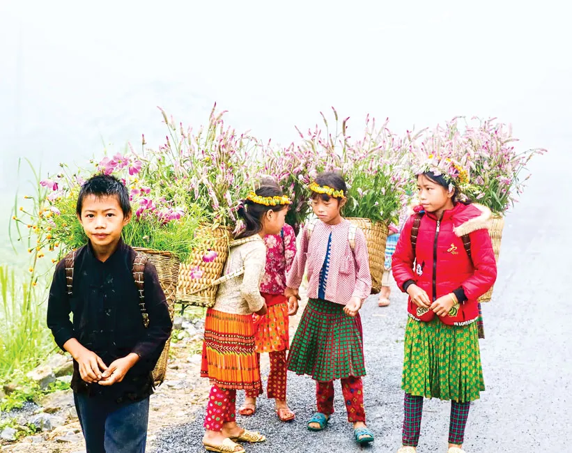 Hoang sơ, thơ mộng Hoàng Su Phì ảnh 1