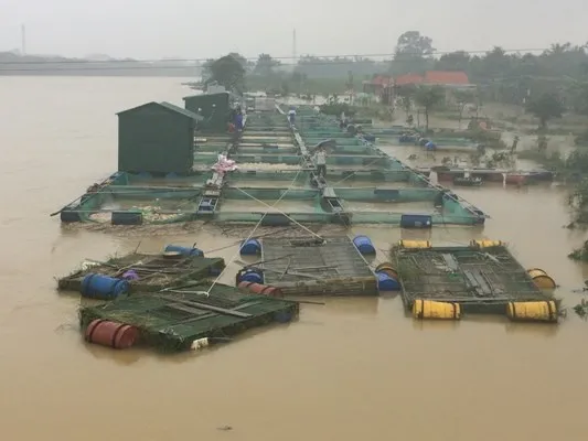 Nước mắt bên sông Bồ ảnh 3