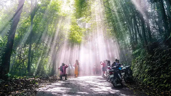 Ba Vì trong muôn sắc hoa ảnh 2