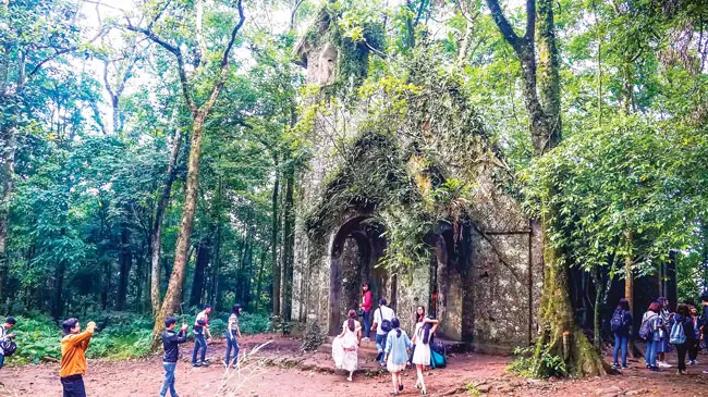 Ba Vì trong muôn sắc hoa ảnh 3