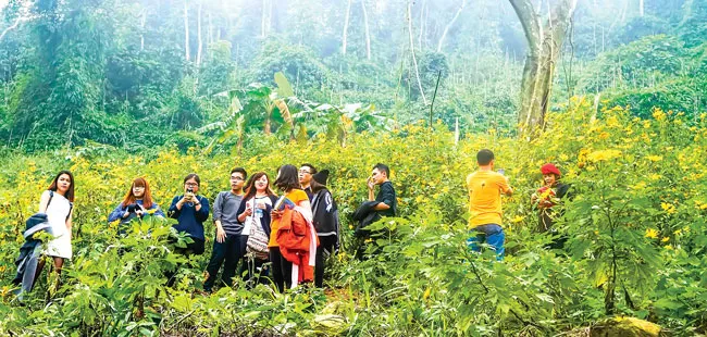 Ba Vì trong muôn sắc hoa ảnh 4