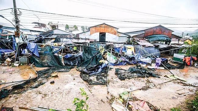 Khánh Hòa, Phú Yên - dồn sức khắc phục hậu quả bão ảnh 1