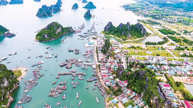 Vân Đồn - Thể chế quyết định thành công ảnh 1